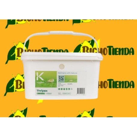 Thripex 100000 - Ácaros depredadores de thrips