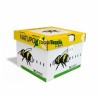 Natupol Excell, colmena abejorros bombus terrestris