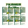 Palmanem para 160 palmeras (8x250Mill)
