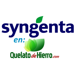 Sequestrene 138 G100 1Kg