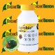 CRYPTOcontrol 500 larvas cryptolaemus contra cochinilla algodonosa