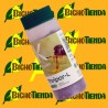 Thripor-L 500 Orius laevigatus