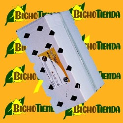 AMBLYCAcontrol 50.000 Caja 500 sobres - PLUS