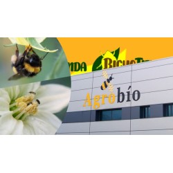 AMBLYCAcontrol 50.000 Caja 500 sobres - PLUS