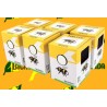 Natupol Seeds, caja multi-pack con 6 mini colmenas