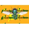 Natufly 33000 (mosca polinizadora)