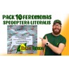 Pack 10 Feromonas Spodoptera Littoralis PB (rosquilla negra - oruga)