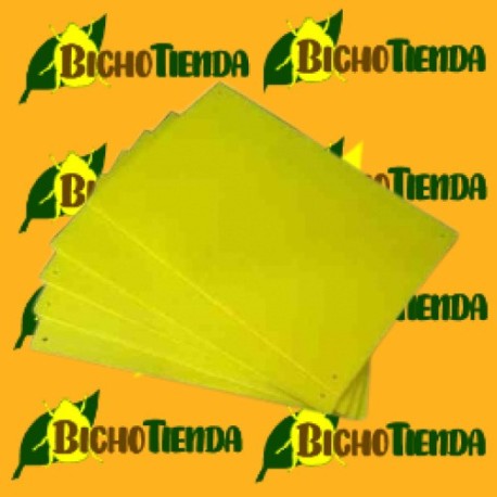 Placas Amarillas