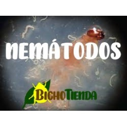 NEMATOcontrol - C 500M