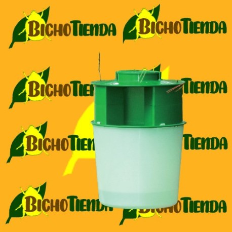 PROCESS atrap Expert (adultos procesionaria del pino) PROCESS atrap Expert (adultos procesionaria del pino)