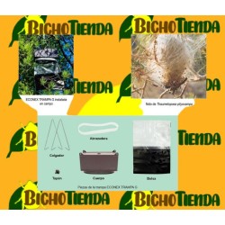 CUERPO "TRAMPA G" ECONEX