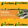 Troyan 500 Millones (contol biológico gusano cabezudo)