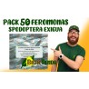 Feromona Spodoptera exigua