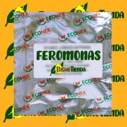 ECONEX TUTA ABSOLUTA 0,80 MG 60 DÍAS