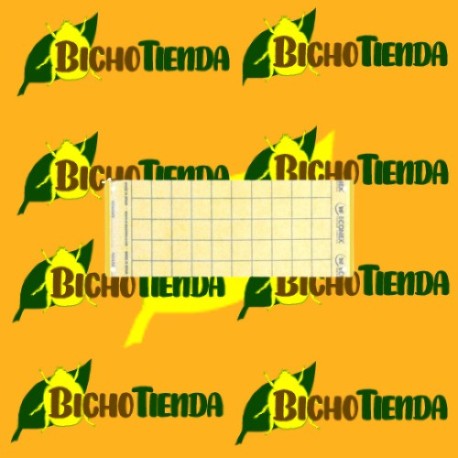 Trampa cromtica amarilla 10 X 25 cm Trampa cromtica amarilla 10 X 25 cm