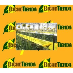 Rollertrap amarillo 15x100 trampa cromatica