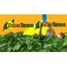 Horiver-TR 10x25 azul
