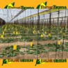 Horiver 40x25 amarillo