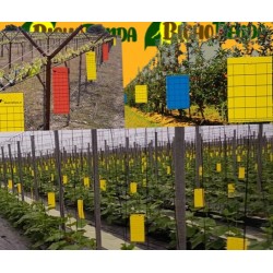 Horiver 20x25 rojo (22 láminas) Trampas adhesivas