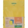 Horiver 20x25 amarillo (22 láminas)