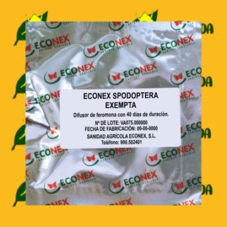 SPODOPTERA EXEMPTA (40 días) Econex SPODOPTERA EXEMPTA (40 días) Econex