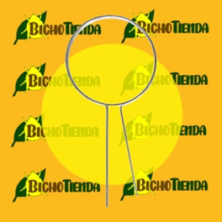 RHYNCHONEX COLGADOR DE LA TAPA