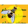 Feromona BACTROCERA INVADENS 90 DÍAS Econex
