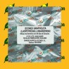 Feromona GRAPHOLITA (LASPEYRESIA) LOBARZEWSKI (40 días) Econex