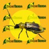 ECONEX PAL (Trampa para Diabrotica virgifera) ENV. 2 UD.)