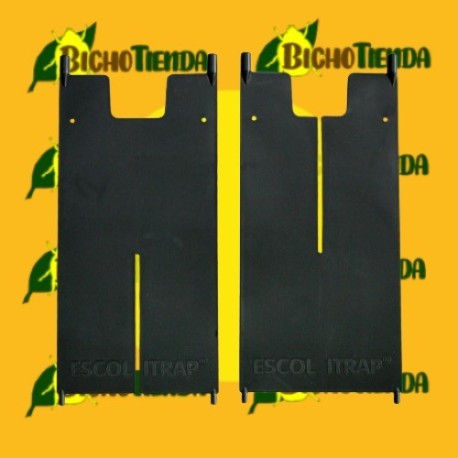 PALETAS PARA ESCOLITRAP