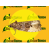Feromona HEDYA NUBIFERANA (40 días) Econex