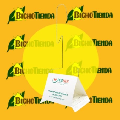 TRAMPA JACKSON (9,5X9,5X12,7 CM) Econex