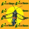 polilla del cerezo SYNANTHEDON HECTOR