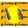 DIORYCTRIA DISCLUSA