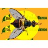 Feromonas DACUS (BACTROCERA) DORSALIS Econex 40 días