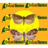 Feromona GRAPHOLITA (LASPEYRESIA) JANTHINANA 40 días Econex