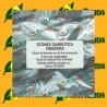 Feromonas DIABROTICA VIRGIFERA Econex 60 días