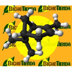 BETA PINENO 25 ML 60 DÍAS Econex