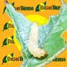 Feromonas ARGYROTAENIA VELUTINANA 40 días Econex