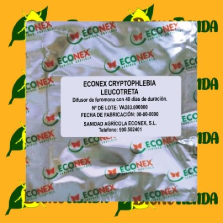 ECONEX CRYPTOPHLEBIA LEUCOTRETA (40 días)
