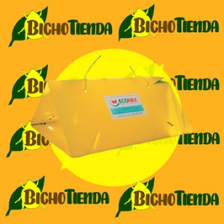 ECONEX PLATAFORMA ECONEX PLATAFORMA