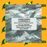 Feromona KEIFERIA LYCOPERSICELLA (40 días) Econex