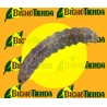Feromona KEIFERIA LYCOPERSICELLA (40 días) Econex