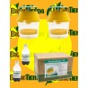 VELUTINATRAP KIT (2 trampas + 2 botellas + atrayente)