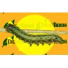 Feromona SPODOPTERA EXIGUA (gusano soldado)
