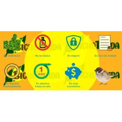 ECOBIRDNEX .