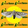ZEUZERA PYRINA 3 mg 120 días feromonas barrenador del peral, ECONEX