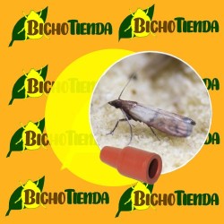 Feromonas EPHESTIA/PLODIA