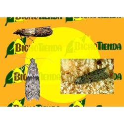 Feromonas EPHESTIA/PLODIA 40 días ECONEX