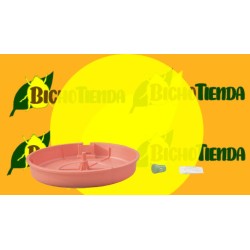 Trampa Tutasan (tuta absoluta)